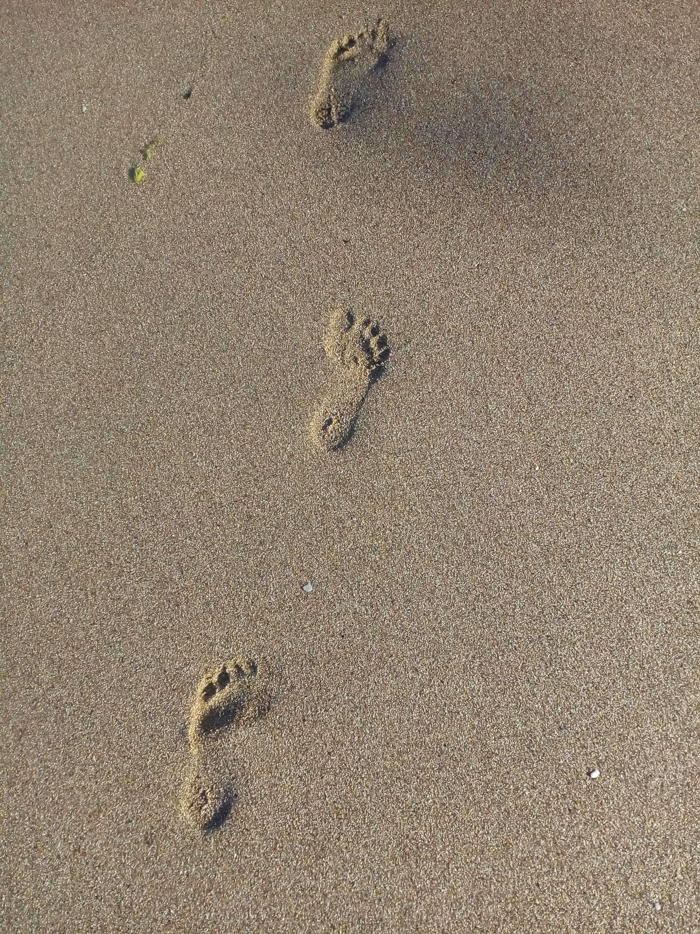 A couple of footprints that are in the sand